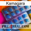 Kamagara viagra2